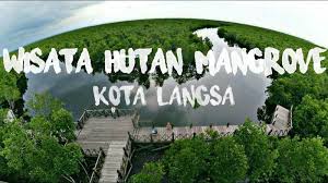 Komplek wisata hutan lindung kota langsa terbilang. 10 Tempat Wisata Di Langsa Aceh Yang Disebut Surga Tersembunyi