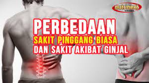 Beda Sakit Pinggang Biasa Dan Akibat Sakit Ginjal Rasa Sakit Penyakit Video