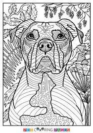 40+ full size coloring pages for adults for printing and coloring. Pin On Dog Coloring Pages