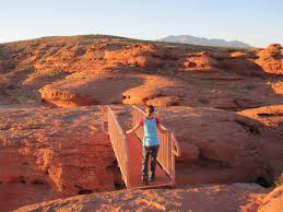 St George Ut Homes For Sale Call 435 229 8801 Erika Rogers Luxury Homes In St George Redwood National And State Parks St George Utah St George