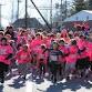 Hampton Falls Tiger Trot event image
