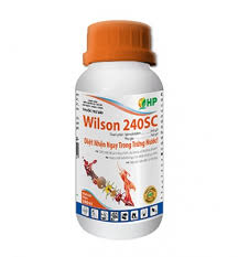 Wilson 240SC.
