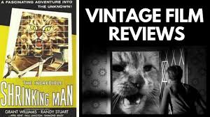 Scott lang is grappling with the consequences of his choices as both a superhero and a father. The Incredible Shrinking Man 1957 Classic Film Review Youtube