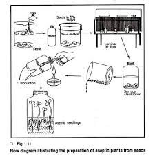 Animal cell culture techniques biology discussion. Techniques Used In Plant Tissue Culture With Diagram