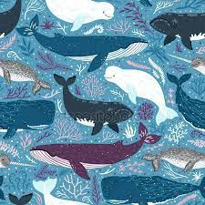 Patron Transparente De Vector Con Las Ballenas Repite La Textura Con Los Mamiferos Marinos Narval Y Ballena Ballena Azul Fondo Marino Dibujo Ballenas Dibujo