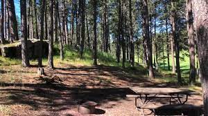 Custer mountain cabins & campground ticket price, hours, address and reviews. Custer Mountain Cabins Campground Wildflowers At Custer Mountain Cabins And Campground Facebook