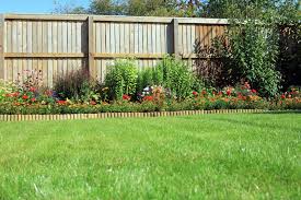 Here are some ideas to get you started. What To Plant Along The Fence Line For A Lovely Garden 2021