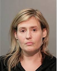 ᐅ Illinois Criminal Records 2009-2026