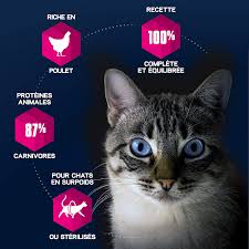 La stérilisation doit intervenir à l'âge de 6 mois. Eukanuba Croquettes Sterilise Ou En Surpoids Pour Chat Croquettes Recommandees Par Les Veterinaires Alimentation 100 Complete Et Equilibree Riche En Poulet Sac Refermable De 1 5kg Amazon Fr Animalerie
