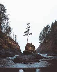 Washington Coast Is Hauntingly Beautiful Dead Mans Cove Wa Oc 2000 X 2500 Reddit Nature Photography Travel Photography Nature Travel