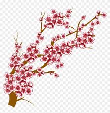 Maybe you would like to learn more about one of these? Japanese Flowering Cherry Transparent Background Cherry Blossom Tree Branch Drawing Free Transparent Png Clipart Images Download
