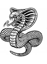 One of the most famous specie : Free Snake Coloring Pages For Adults Printable To Download Snake Coloring Pages