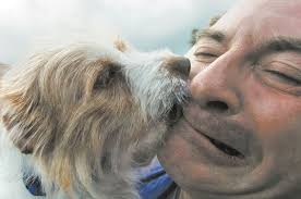 The way we were: Dog days