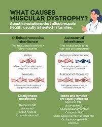 Image result for Muscle Weakness Causes