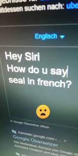 Phoque Video In 2021 Seriously Funny Minions Funny Haha Funny