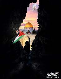 صور القدس الجريحة 2021 صور المسجد الاقصي رمزيات عن القدس خلفيات عن المسجد الاقص palestine art palestine history palestine