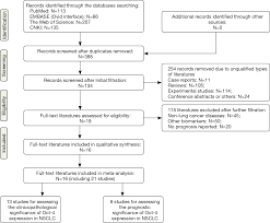 What is the emotional component to spring? Clinicopathological And Prognostic Significance Of Oct 4 Expression In Patients With Non Small Cell Lung Cancer A Systematic Review And Meta Analysis Li Journal Of Thoracic Disease