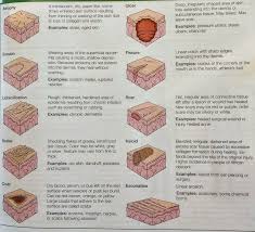 Secondary Skin Lesions Emergency Nursing Wound Care Nursing Subcutaneous Tissue
