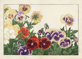 Tanigami Konan 1879 1928 Pansy 1917 Japanese Art Styles Art And Craft Images Japanese Woodblock Printing