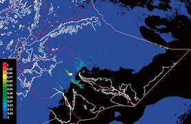 Image result for Commicarpus pedunculosus