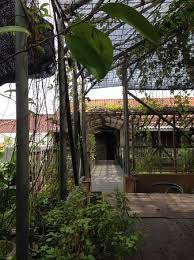 Enjoy free wifi, free parking, and a restaurant. Hallway 2nd Floor Picture Of Rumah Turi Solo Tripadvisor