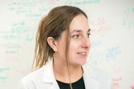 immune system Archives