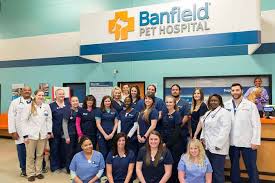 Banfield pet hospital offers subscribe & save! Vets In Charlotte Nc Perimeter Banfield Pet Hospital