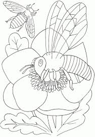 Check spelling or type a new query. Insects Coloring Pages 100 Pictures Free Printable