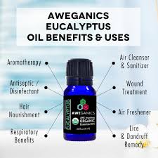 It also has antibacterial properties which helps with keeping the scalp clean and. Eucalyptus Essential Oils 10ml Organic Natural Pure Aweganics Aweganics