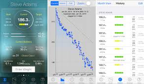 46 particular weight loss chart widget