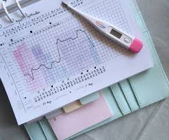 Work With Clara Fertility Awareness Method Fertility Awareness Fertility Chart