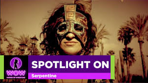Spotlight On: Serpentine