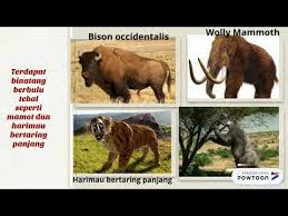 Antara ciri zaman air batu akhir ialah binatang seperti mamot berbulu, badak, kuda dan singa mulai tinggal di sesuatu kawasan. Haiwan Zaman Air Batu Bison
