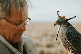 Pre-Season Falcon Conditioning at the House of Grouse — Falconry Told