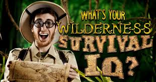 If you know, you know. What S Your Wilderness Survival Iq Brainfall