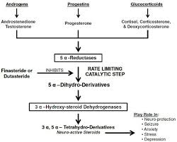Sexual dysfunction, high Gleason grade prostate cancer, and depression: The  dark side of therapy with 5α-reductase inhibitors, "Beyond the Abstract,"  by Abdulmaged M. Traish, PhD