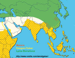 Malaria is caused by plasmodium parasites. Gesundheit Auf Reisen