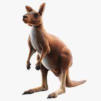 Kangaroo Red Shave 3d Model In 2020 Kangaroo Fur Animals