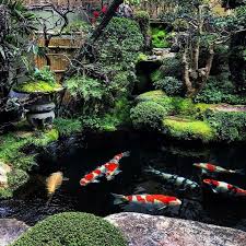 Photos from the koi pond in the garden of our old house which was sold in the summer of 2008. 15 Japanese Koi Ponds For Your Garden Top Diy Ideas Fish Pond Gardens Japanese Koi Pond Koi Pond Design