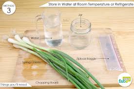 Keep storage onions in a cool, dark, and dry place. How To Store Spring Onions The Right Way For Upto 6 Months Fab How