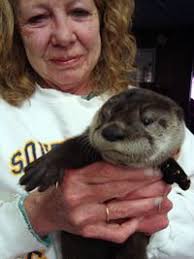 Li'l Smokey's Rehabilitation Blog