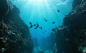 Facts About The Ocean Floor Jpg 800 500 Under The Ocean Underwater Ocean