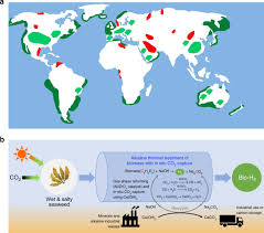 A metal detector is pretty much a big magnet. Alkaline Thermal Treatment Of Seaweed For High Purity Hydrogen Production With Carbon Capture And Storage Potential Nature Communications
