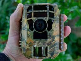Don't stress, let us walk you through the buying process. How Do Trail Cameras Work A Complete Guide