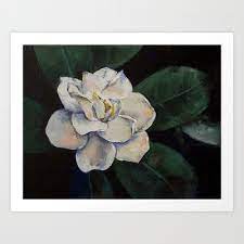 Gardenia Oil Painting Art Print By Michael Creese Society6 Flower Painting Canvas Abstract Canvas Painting Oil Painting