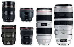 The Great Debate Canon Vs Nikon Dslrs Which Should You Buy