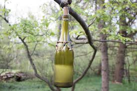 One of the easiest wasp traps you can create only requires a few simple items. Upcycle A Wine Bottle Into A Wasp Catcher Diy Network Blog Made Remade Diy