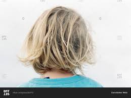 Blondes have more fun is a term people use a lot when going blonde. Back Of Blonde Girl S Head Stock Photo Offset