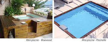 Mini Piscines Un Equipement Complet Actualites Reportages Piscine Mini Piscine Terrasse