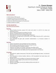 Job description and duties for financial manager. Regional Sales Manager Job Description Awesome Finance Manager Jd Sales Manager Jobs Job Description Monthly Budget Template